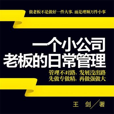一个小公司老板的日常管理 - 王剑, Audio, 4069828674455
