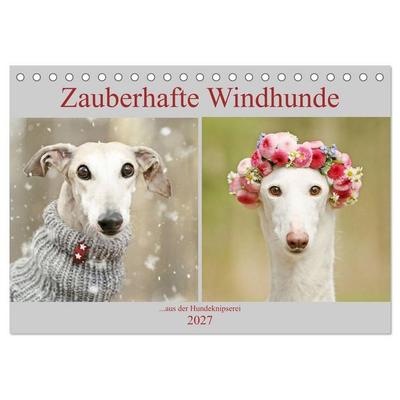 Zauberhafte Windhunde (Tischkalender 2027 DIN A5 quer), CALVENDO Monatskalender
