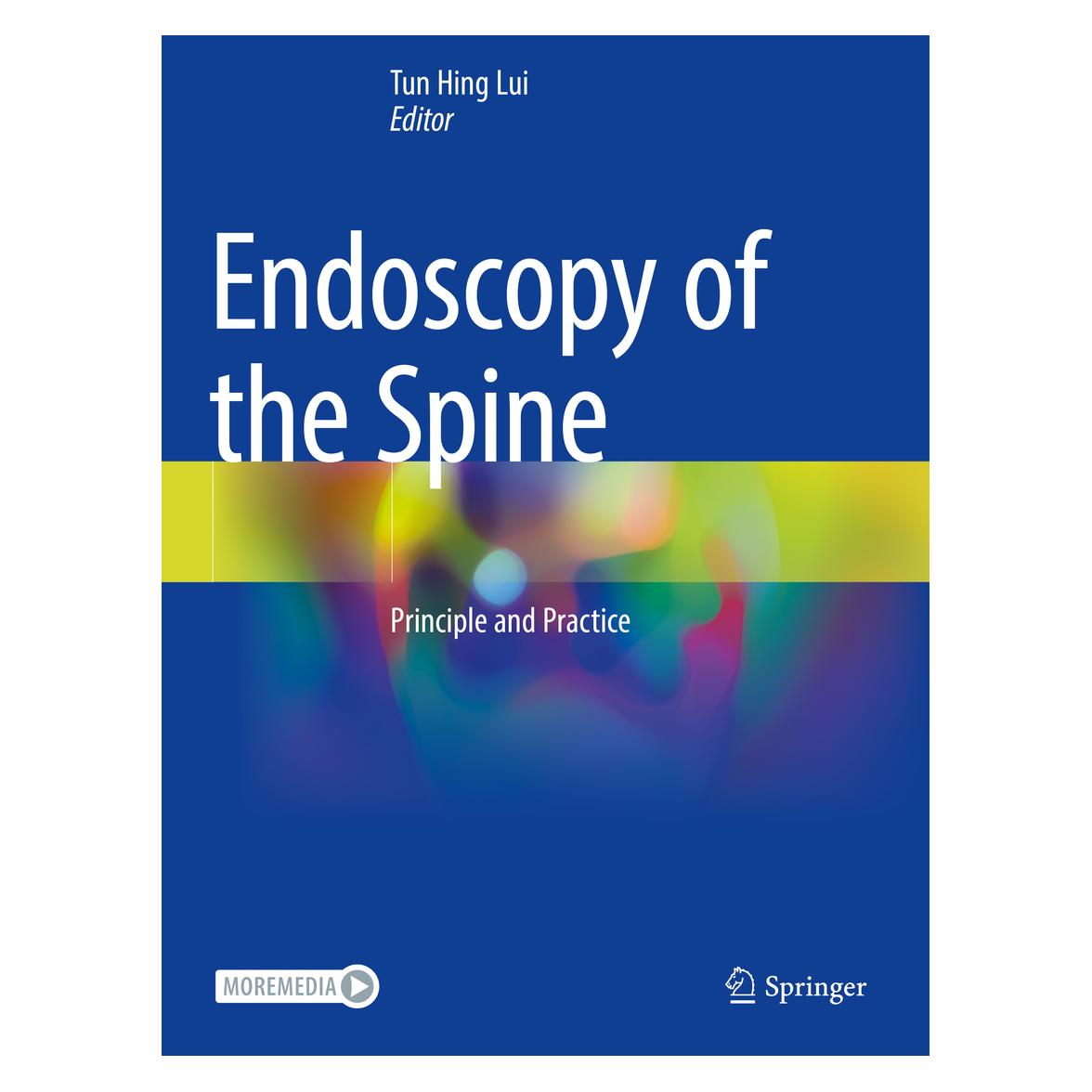 Springer Endoscopy of the Spine (Englisch, Softcover, Hing Lui Tun, Tun Hing Lui) (56996894)