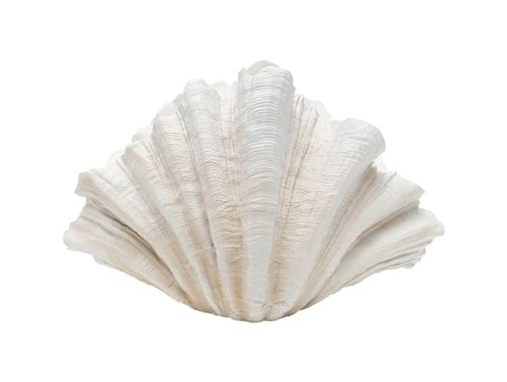 Kare Design Concha vaas 57cm