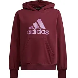 ADIDAS Kinder Future Icons Logo Hoodie, Größe 164 in Rot Rot