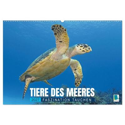 Tiere des Meeres: Faszination Tauchen (Wandkalender 2027 DIN A2 quer), CALVENDO Monatskalender