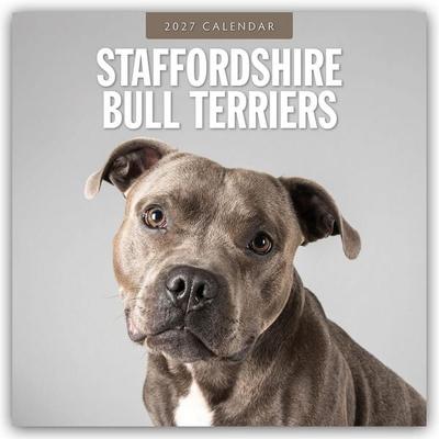 Staffordshire Bull Terriers – Staffordshire Bullterrier 2027 – 16-Monatskalender