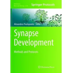 Synapse Development, Fachbücher von Alexandros Poulopoulos