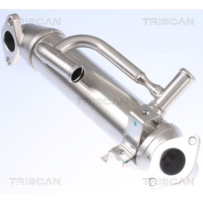 TRISCAN Kühler, Abgasrückführung 8813 16108 für Ford