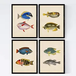 POSTER Set mit 4 Sibirischen 8 verschiedene Zusammensetzung A3 Rahmenlos