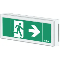 Ceag Notlichtsysteme LED-Rettungszeichenleuchte FT1EW4ICGSIP