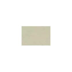 Corpet Linoleum - Linocolor - Certo Lichtgrau - Pure 610 x 305 mm