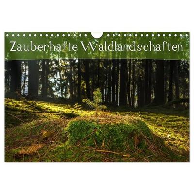 Zauberhafte Waldlandschaften (Wandkalender 2027 DIN A4 quer), CALVENDO Monatskalender