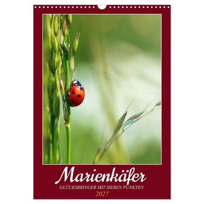 Marienkäfer, Glücksbringer mit sieben Punkten (Wandkalender 2027 DIN A3 hoch), CALVENDO Monatskalender