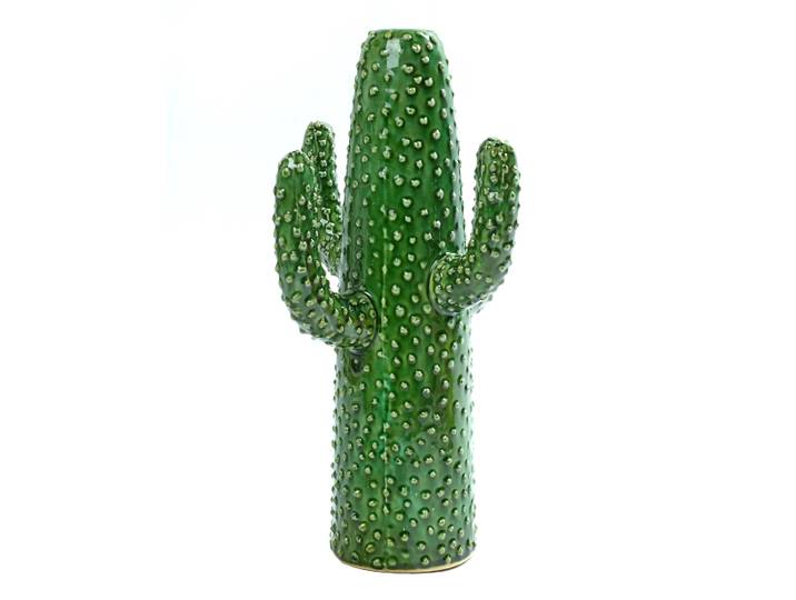 Serax Serax cactusvaas Large