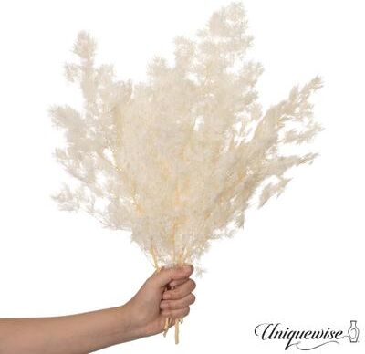 Uniquewise Preserved Real Floral Stems Chic Vase Fillers & Accents for Bouquets Centerpieces & Ornamental Displays