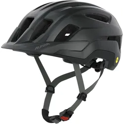 Alpina, Velohelm, (55 - 59 cm)