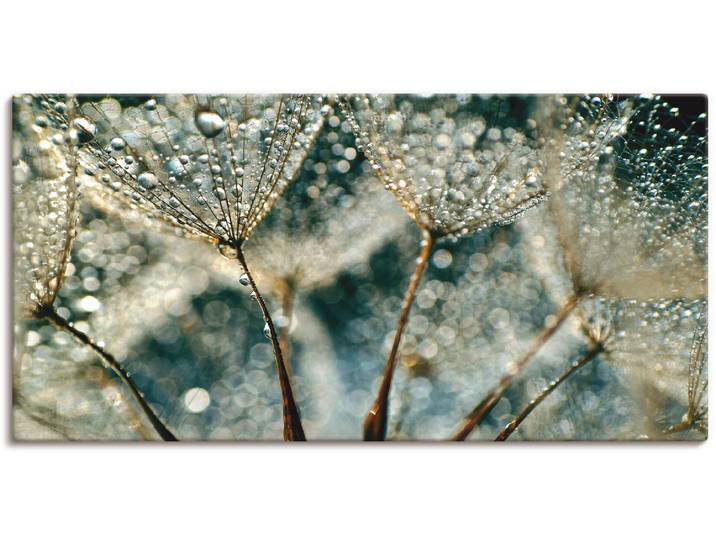 Leinwandbild ARTLAND Pusteblume Regenschauer , grau (farbe bild(er): grau), B:100cm H:50cm, Bilder, Leinwandbild, auf Holzrahmen gespannt