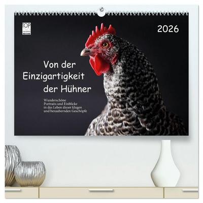 Von der Einzigartigkeit der Hühner 2026 (hochwertiger Premium Wandkalender 2026 DIN A2 quer), Kunstdruck in Hochglanz