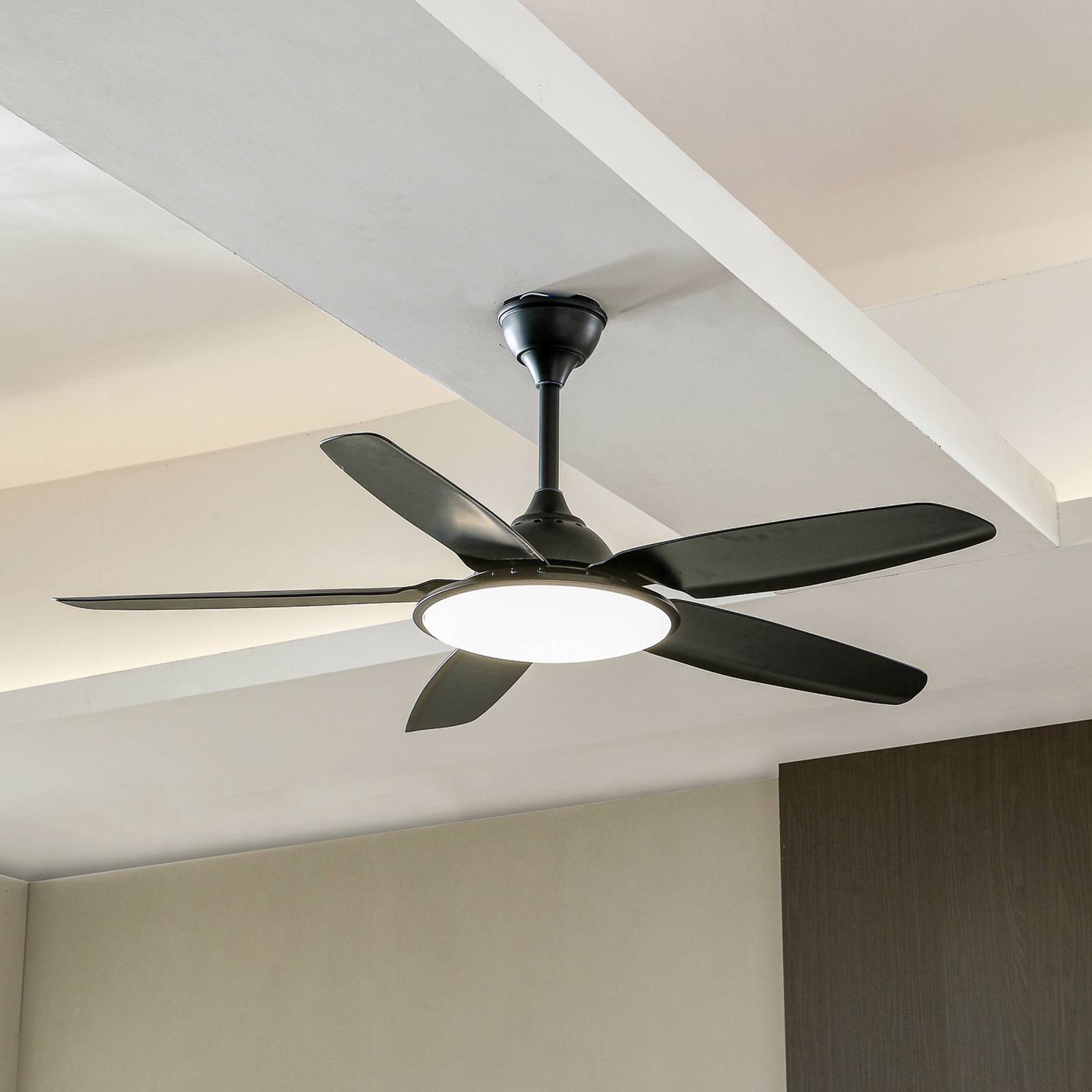 Lucande Divian LED ceiling fan, black, DC, quiet, CCT, Black, Living / Dining Room, metal, Modern, Ceiling Fans with Lighting
