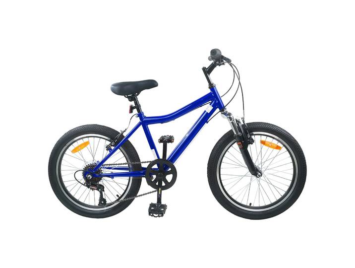 vidaXL Kinderfahrrad 20 Zoll 6-Geschwindigkeit für 6-11 Jahre alt