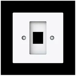 Busch-Jaeger Zentralscheibe m. Tragring 2561-44G 2CKA001753A9922