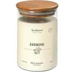 Wiedemann Kerzen Duftkerze im Glas "Jasmine" 345g, 1 Stück