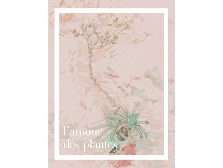Bild KOMAR PLANT ART L'amour des plantes , rosa (farbe bild(er): rosa), B:30cm H:40cm, Holz, Papier, Bilder, Bild, Wandbild zur Dekoration - ohne Rahmen
