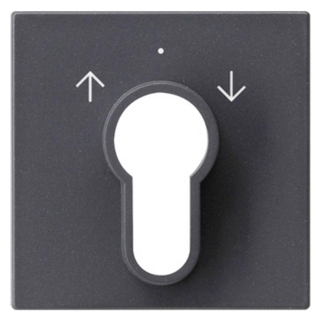 Gira Abd. Schlüsselschalter/-taster System 55 066428 (066428)