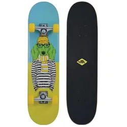 Schildkröt, Skateboard, (31.10")