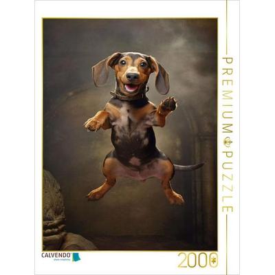 CALVENDO Puzzle Hochspringer | 2000 Teile Lege-Größe 90x67cm Foto-Puzzle für glückliche Stunden, Sonstige von , Calvendo Puzzle
