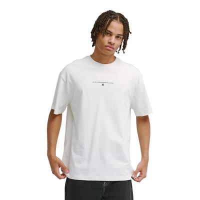 T-Shirt DC SHOES "No Skateboard Allowed", Herren, Gr. M, weiß, Obermaterial: 75% Baumwolle, 25% Baumwolle., Shirts T-Shirt