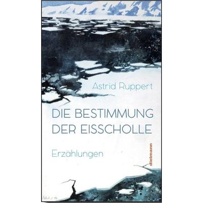 Die Bestimmung der Eisscholle, Gebundene Ausgabe von Astrid Ruppert, Dielmann, Axel, 978-3-86638-249-7