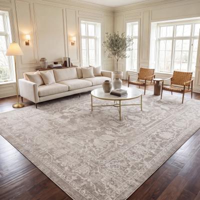 SAFAVIEH Reflection Gyda Modern Oriental Rug