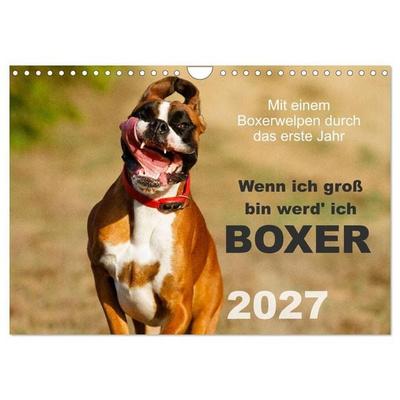 Wenn ich groß bin werd' ich Boxer (Wandkalender 2027 DIN A4 quer), CALVENDO Monatskalender