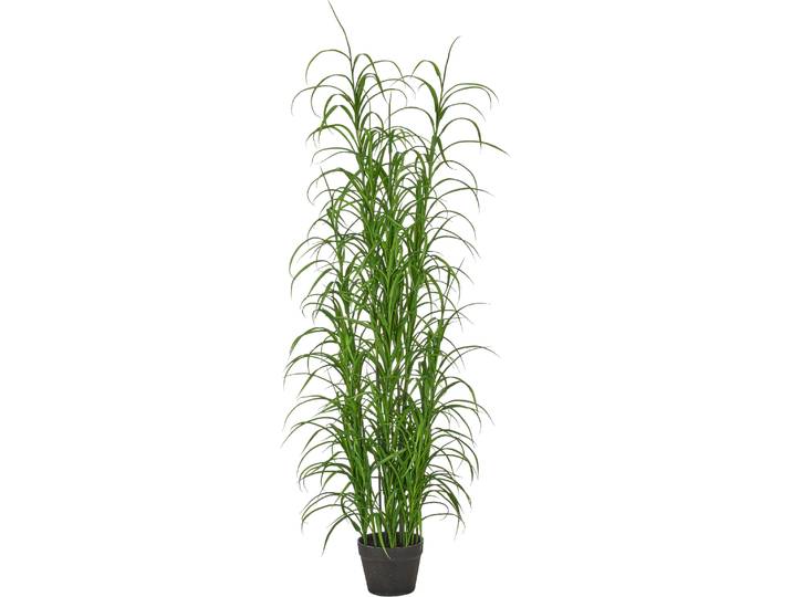 Kunstgras CREATIV GREEN Grasbusch Carex morrowii , grün, H:150cm, Obermaterial: 100% Kunststoff, Kunstpflanzen, Kunstgras, mit naturgetreuen Halmen