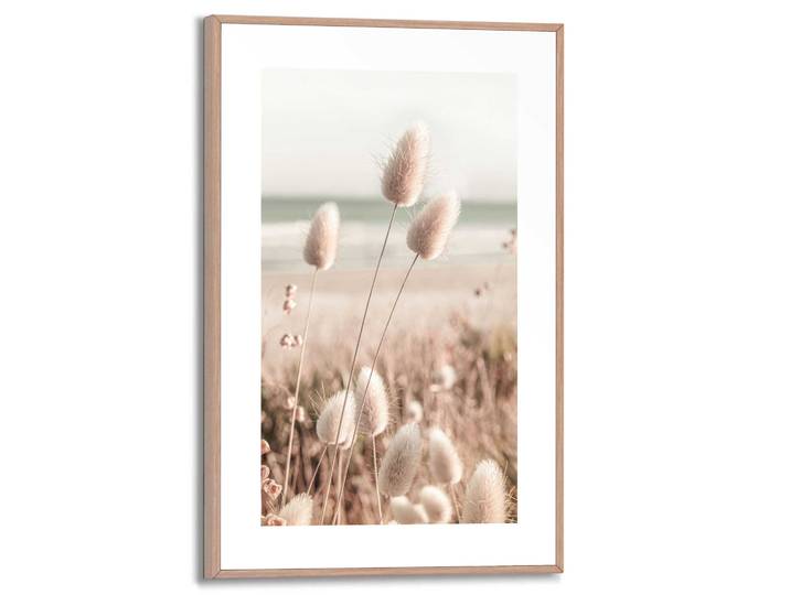 Poster REINDERS Ziergras , beige (farbe bild(er): beige), B:20cm H:30cm T:1,6cm, MDF, Bilder, Poster