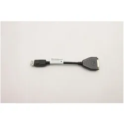 Lenovo CABLE DP to DVI Dongle (DisplayPort, DVI), Video Adapter, Schwarz