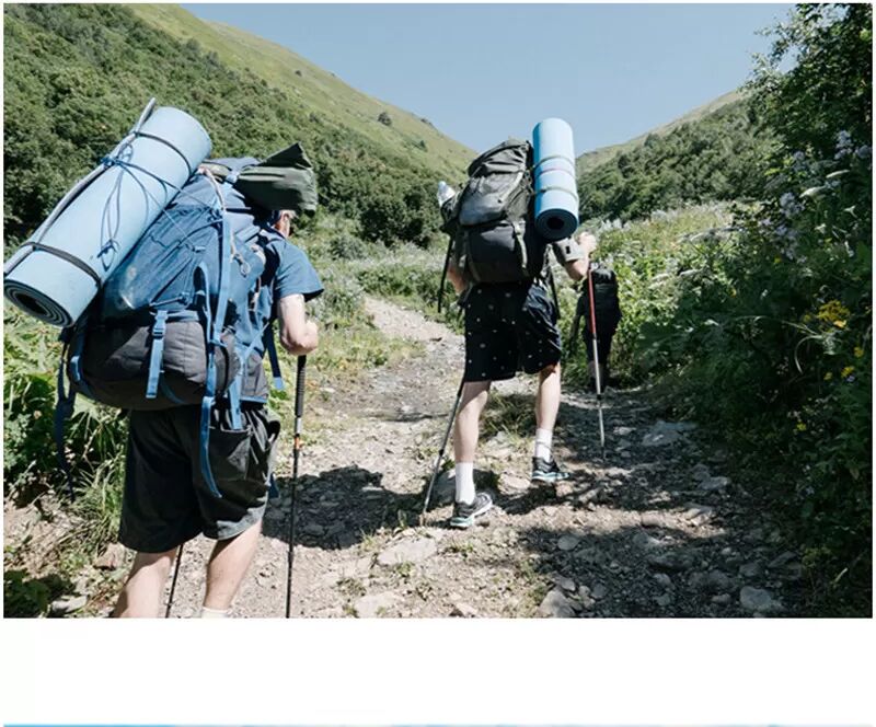 INF Ultraleichter Wanderstock, Trekkingstock, 5 Abschnitte, 1 Paar