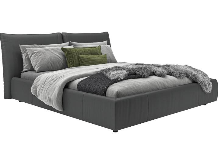 Polsterbett, Rinds-Oberleder, Schwarz, 200×200 cm, Belastbar Bis 280kg, Modern, Places Of Style