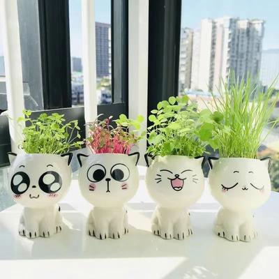 ModernMart Cute Mini Cat Ceramic Flowerpot: Desktop Decor & School Gift C