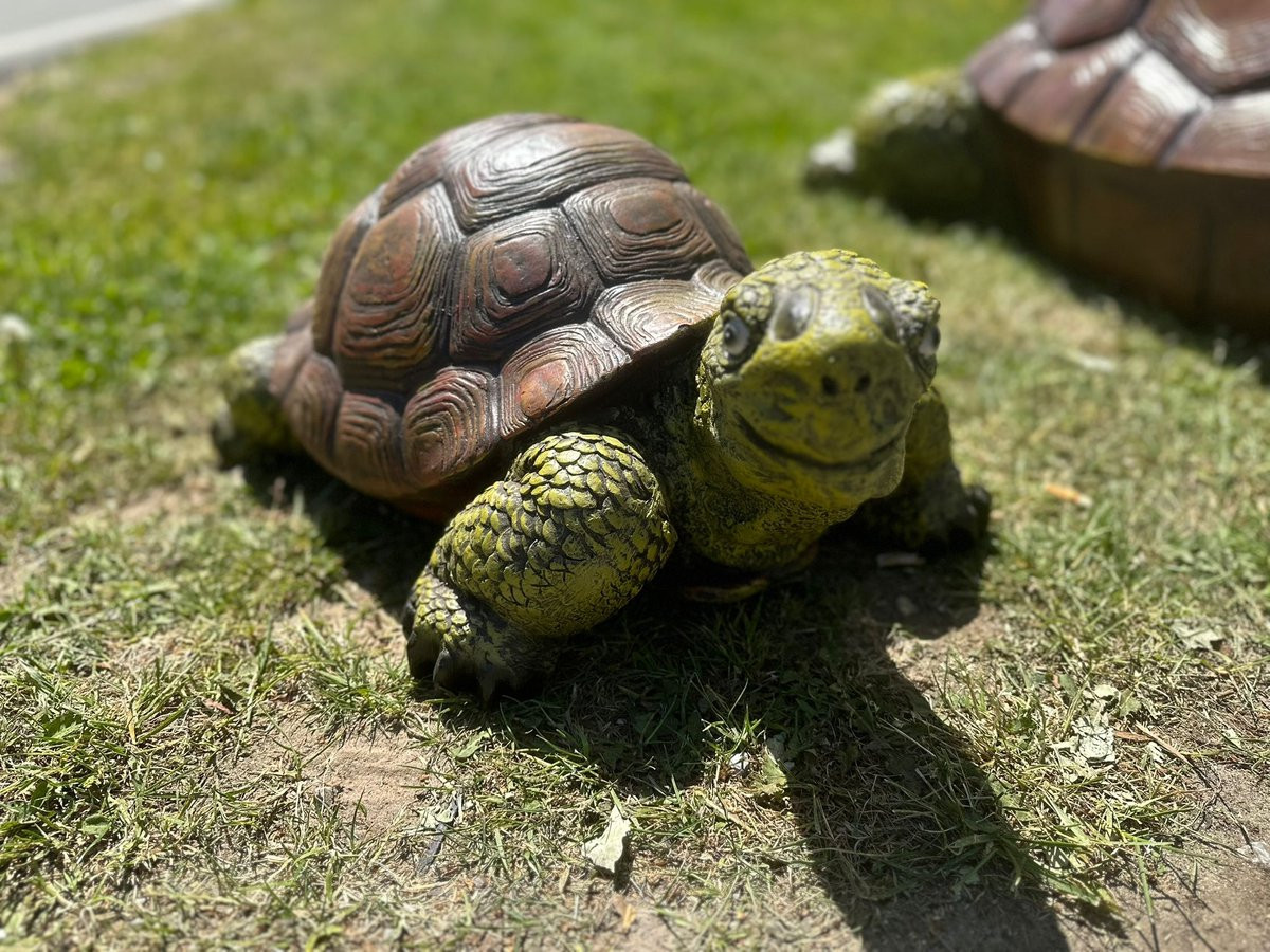 Goodyz Schildpad brons kleurig 60 cm lang