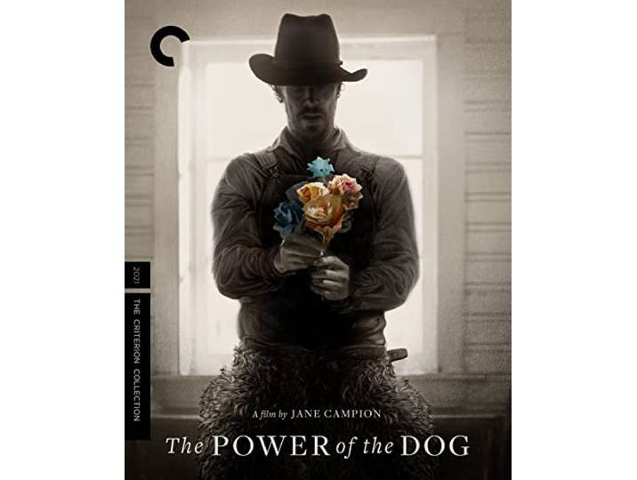 The Power of the Dog