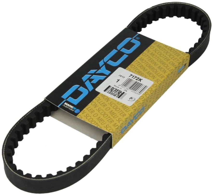 Dayco Cinghia di trasmissione 7172K
