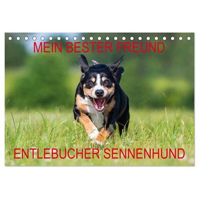 Mein bester Freund - Entlebucher Sennenhund (Tischkalender 2027 DIN A5 quer), CALVENDO Monatskalender