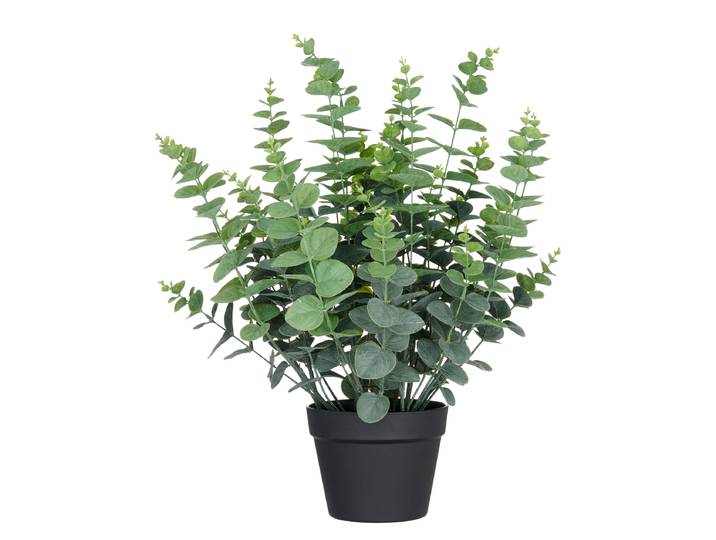 Kunstpflanze Eukalyptus 60cm