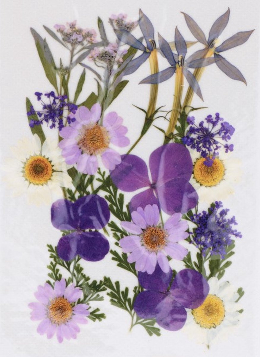 Boeket van verse bloemen Artemio