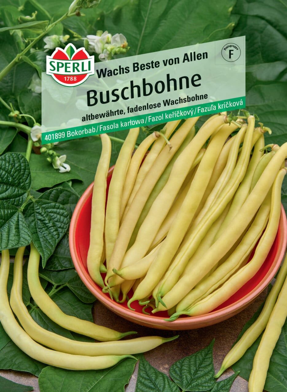 Sperli Buschbohne Wachs Beste von Allen
