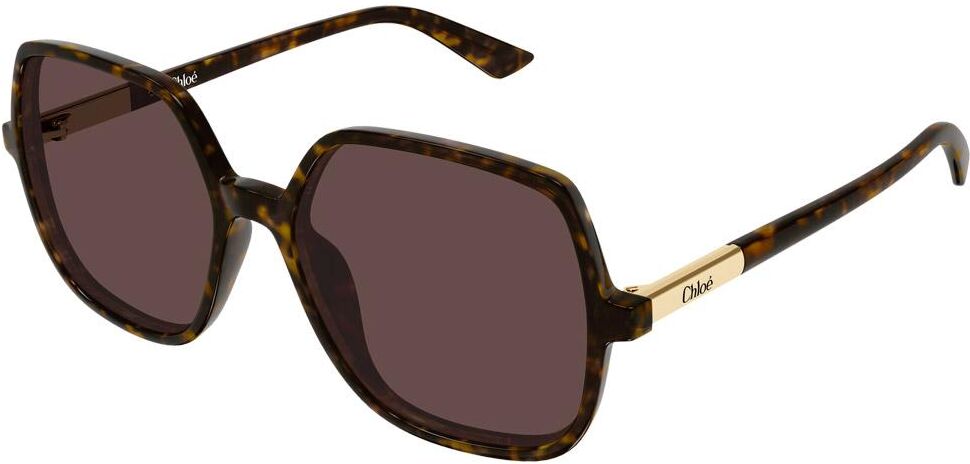 Chloé  - CH0362S Judy 002 Dark Havana - Lunettes de soleil