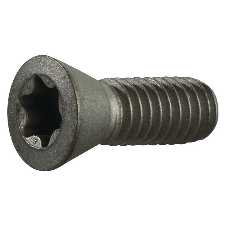 Tecwerk Spannschraube (2000859266)