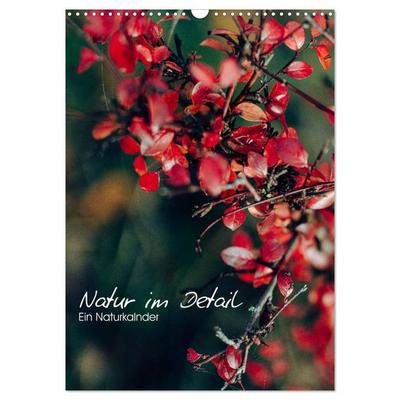 Kalender - Natur im Detail (Wandkalender 2027 DIN A3 hoch), CALVENDO Monatskalender