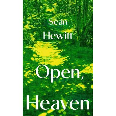 Open, Heaven, Gebundene Ausgabe von Seán Hewitt, Vermilion, 978-1-78733-519-6