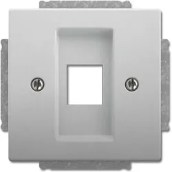 Busch-Jaeger Zentralscheibe edelstahl 2561-866 2CKA001753A0404
