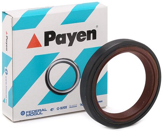 PAYEN NF843 Crankshaft seal